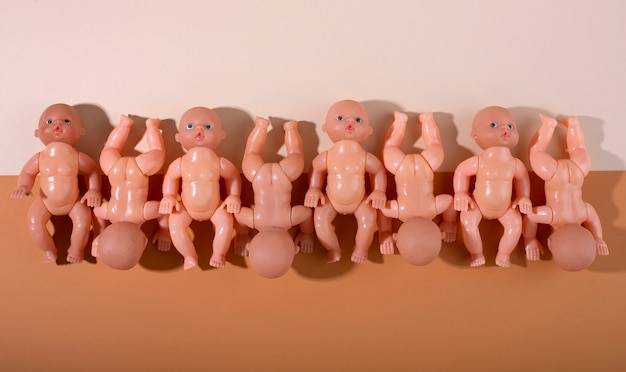 Jak przebiega rozwój embrionalny człowieka?