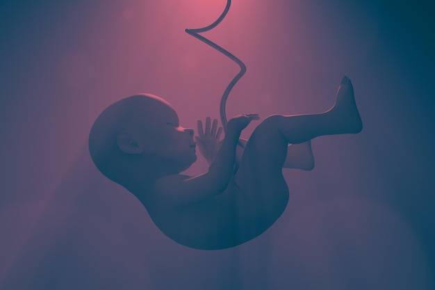 Jak nerwy wpływają na płód w czasie ciąży?